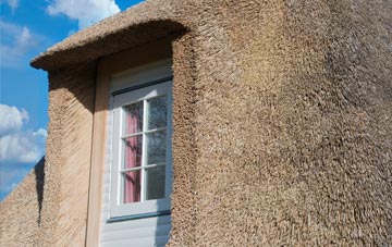 Bodellick thatch roof disadvantages